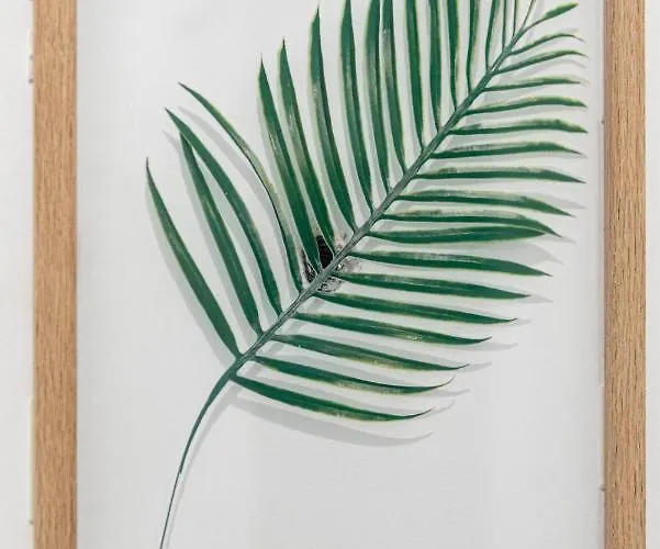 Wonderful In Paradise Daire Santa Cruz de Tenerife