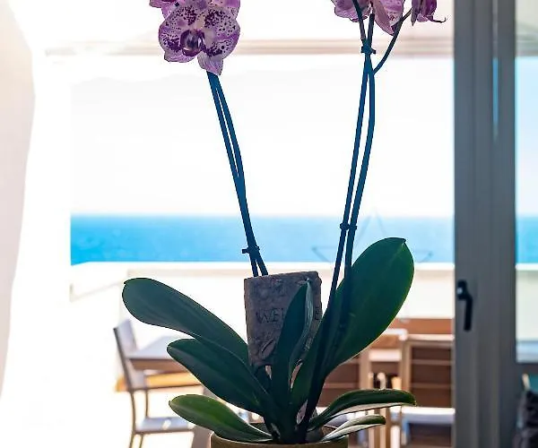 Wonderful In Paradise Apartment