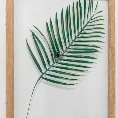 Wonderful In Paradise Apartman Santa Cruz de Tenerife